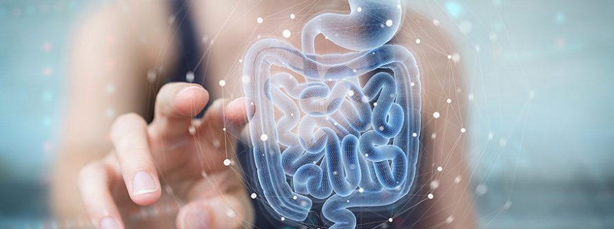 probiotyki sekret zdrowego ukladu pokarmowego dla kogo sa i jak je stosowac