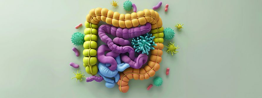 sibo czym jest zespol rozrostu bakteryjnego jelita cienkiego jakie daje objawy i jak sie go leczy