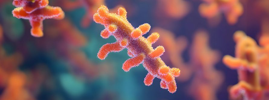 zapomniana ale niepokonana blonica w xxi wieku